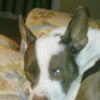 todd_diamond